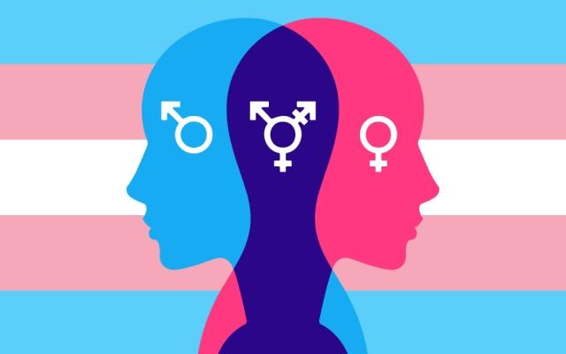 gender diversity image